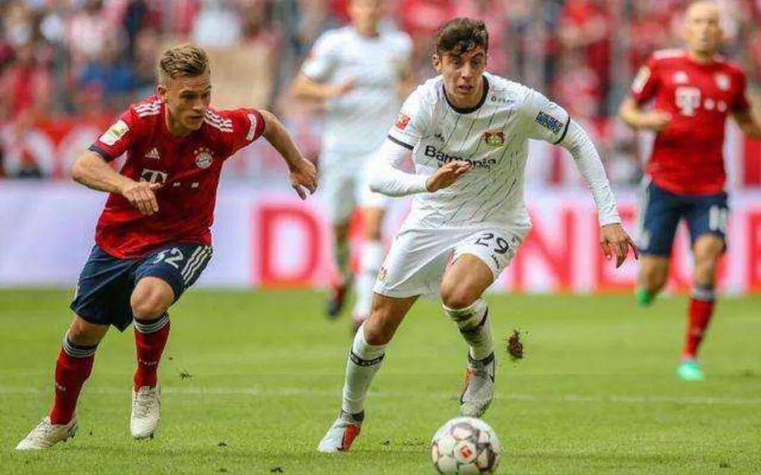 世俱杯奖金-克罗托内球员受伤,未能继续征战意甲赛场