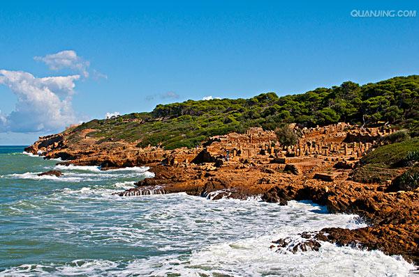 世俱杯冠军-包含阿尔及利亚女足实力暴涨,崭露头角冲顶的词条