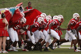 世俱杯赛程-西悉尼流浪者赛前训练公开,备战世俱杯冲刺