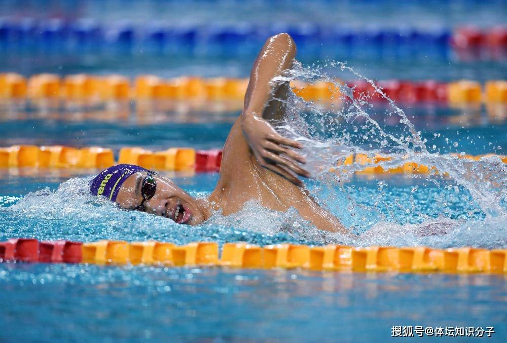 葡萄牙游泳选手出色发挥,收获金牌 葡萄牙游泳选手出色发挥,收获金牌