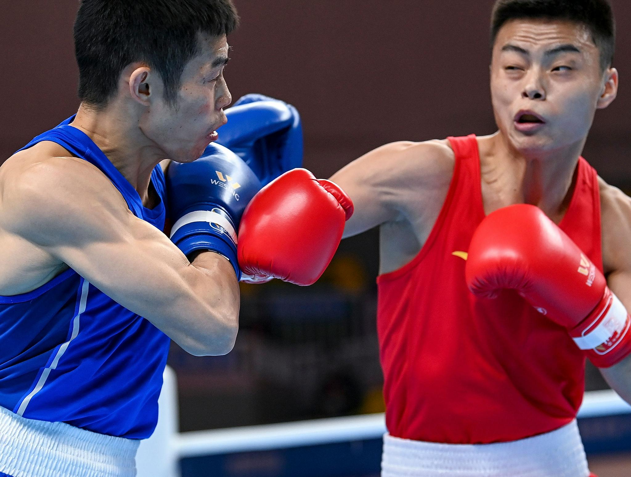 世俱杯直播-拳击半决赛：胜负难料，选手誓夺桂冠的简单介绍