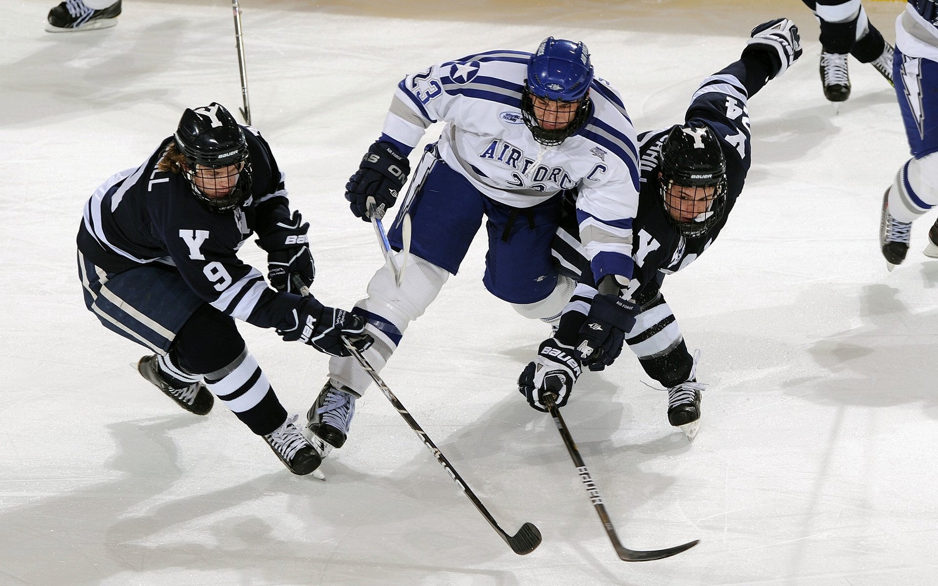 福克斯末节封神,勇士团队风暴席卷深圳