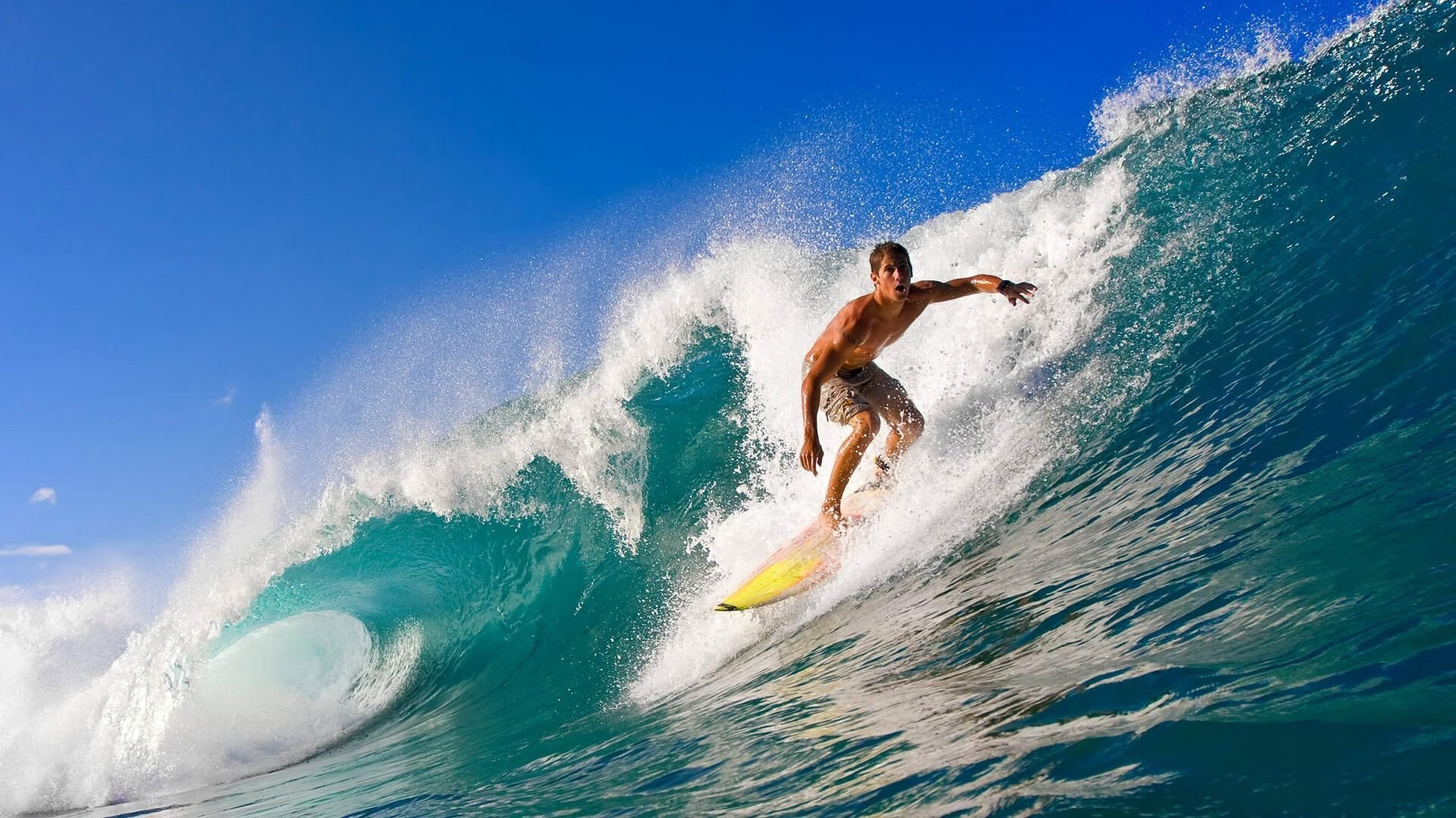 从狂欢派对到角斗场,年终总决赛如何以纯粹网球碾压拉沃尔杯,纳达尔以最悲壮方式点燃赛场